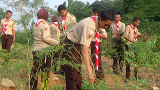 Digagas Pentingnya Orang Tua Asuh Pohon