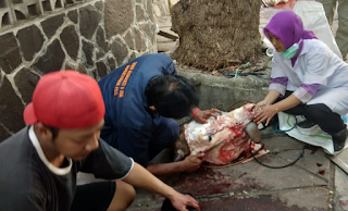 Belum Ditemukan Indikasi Daging dan Jeroan Hewan Kurban Terkena Penyakit