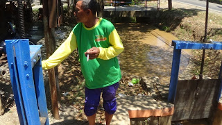Gelontoran Air Terakhir Waduk Gembong untuk Petani Penanam Padi