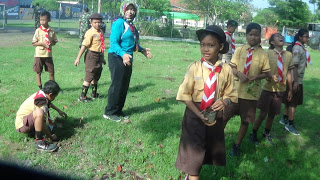 Pohon kok Banyak Burungnya, Ya (Sebuah Catatan)