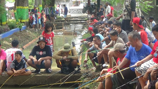 Tiga Kuintal Ikan Lele Ditebar untuk Para Pemancing di Saluran depan Mako Brimob