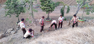 Bagi Pramuka Penegak Sako FWP; Garap Lahan Gersang adalah Tantangan