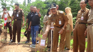 Pohon Gaharu Bisa Tumbuh; Hal yang Luar Biasa