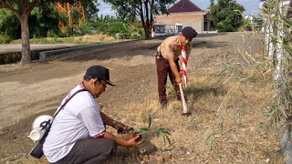 Memecah Kerasnya Tanah dengan Menanami Pohon