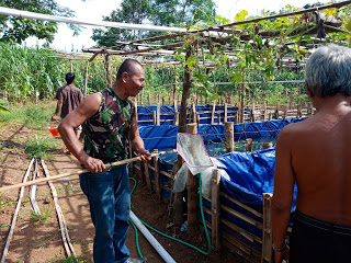 FORUM WARTAWAN PATI  (FWP),MEMELIHARA IKAN NILA DAN LELE