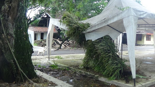 Dahan dan Cabang Pohon di Pusat Kuliner Pati Harus Dipotong Lagi