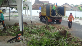 Pemotongan Dahan Pohon Rawan Patah di Pusat Kuliner Pati Dilanjutkan