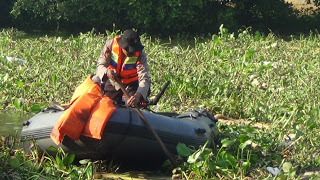 Hilir Alur Kali Juwana Dipenuhi Eceng Gondok