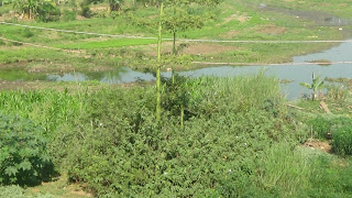 Petani Hulu Alur Kali Juwana Menunggu Realisasi Bendung Kembang-kempis