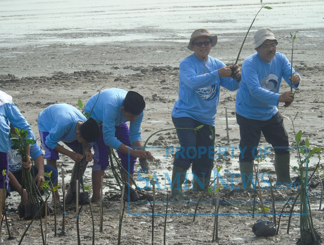 Peringatan Hari Nusantara ke 19, DKP Pati Gelar Acara Bersih Pantai dan Tanam Mangrove di Pantai Kertomulyo
