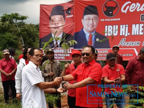 Kado Ultah Ketua Umum PDI Perjuangan dengan Gerakan Menanam Pohon