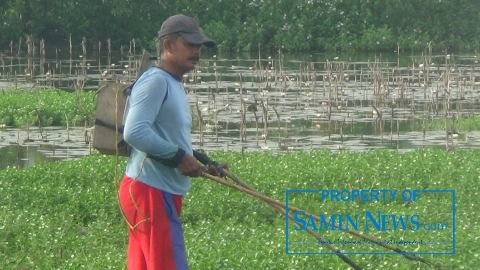 Menangkap Ikan dengan “Setrum”