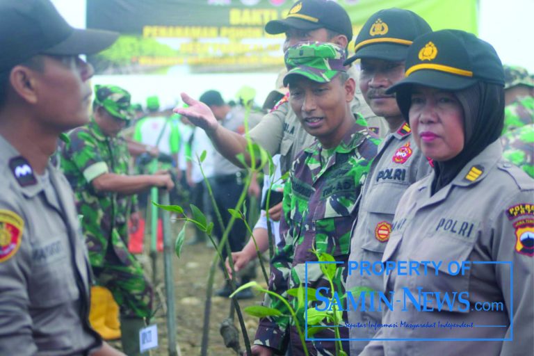 Kodim Pati Tanam Ribuan Mangrove di Pantai Pangkalan