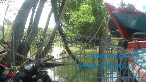 Untuk Menyambung Sheet Pile Pulau Seprapat Harus Menebang Beberapa Batang Pohon