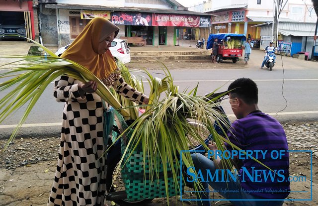 Kehabisan Persediaan,Penjual Janur di Pati Mendatangkan dari Luar Kota