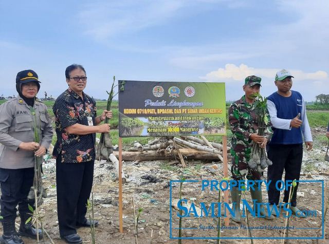 Jaga Abrasi, 10 Ribu Bibit Mangrove Ditanam di Pantai Kertomulyo