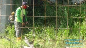 Personel yang bertugas menangani kebersihan Stadion Joyokusumo melakukan pembersihan semak-semak di luar lapangan dalam lingkungan stadion tersebut.