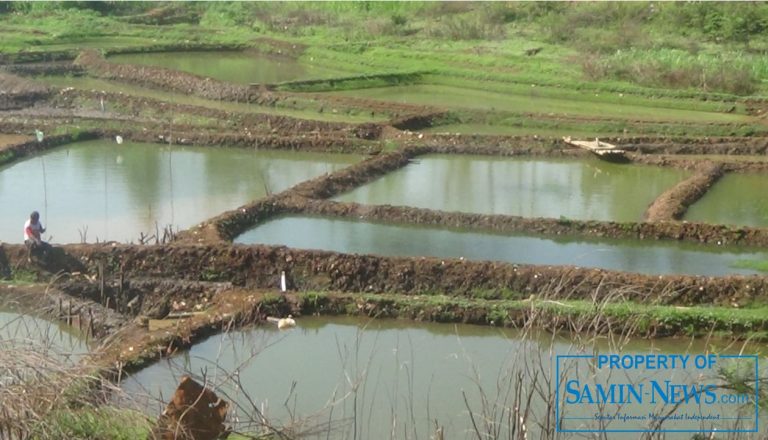 Melanggar ataupun Tidak yang Penting Untung