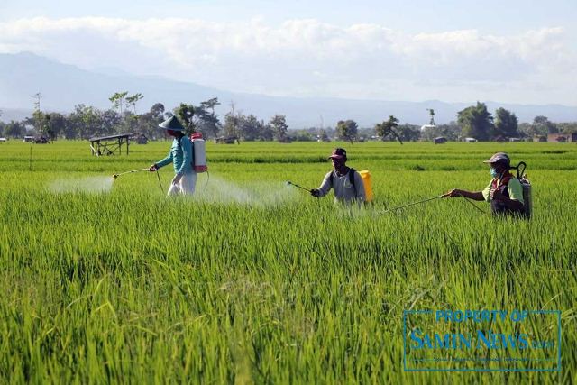 Fraksi NasDem Harapkan Kenaikan Kesejahteraan Petani