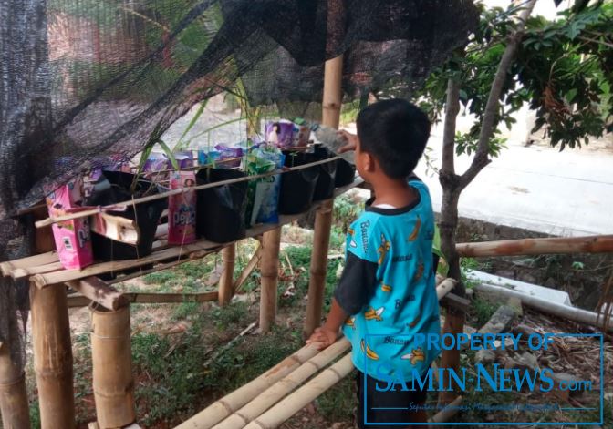 Bekali Anak-anak dengan Merawat Tanaman Vertikultur