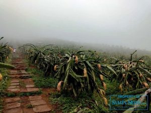 Keindahan obyek wisata Bukit Naga Jolong.