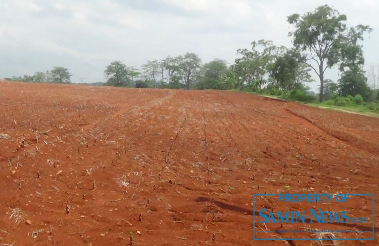 Makin Banyak Areal Gundul di Perbukitan Patiayam, Makin Besar Pula Resikonya