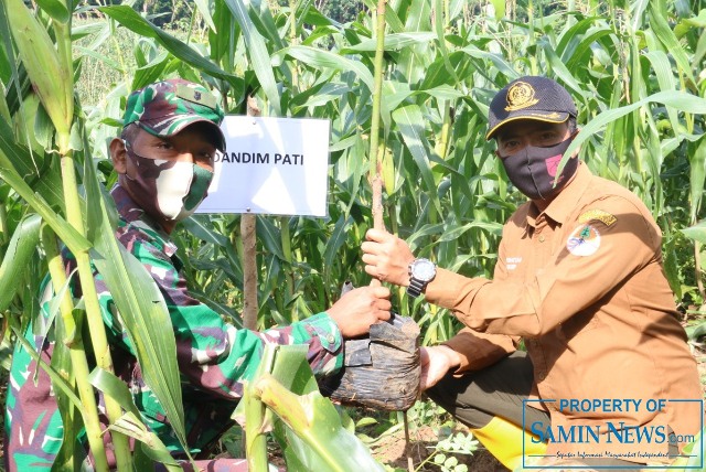 Kodim Pati Bersama Perhutani Taman 600 Bibit Buah di Petak 94 RPH Gayam Tambakromo