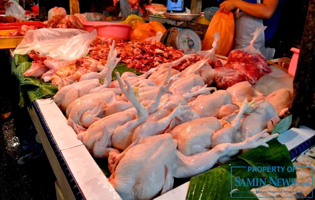 Harga Daging Ayam Kampung Alami Kenaikan Harga