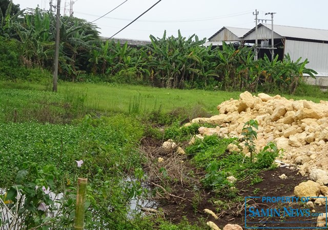 Di Jalur Lapang Bekas Rel Kereta Api Pati-Juwana (7)