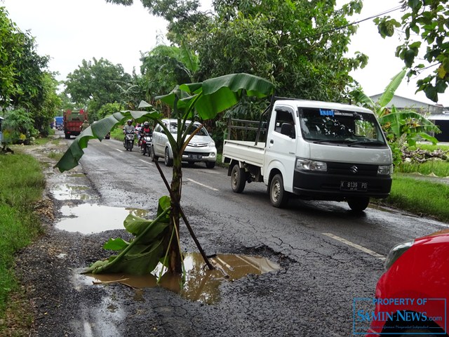 Protes Model Tanam Pohon Pisang di Jalan Belum Juga Hilang Sampai Sekarang