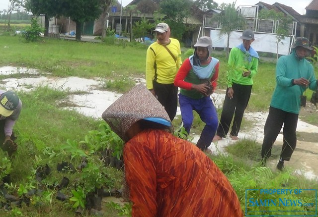 Warga Jimbaran Banyak yang Mulai Sadar Menanam