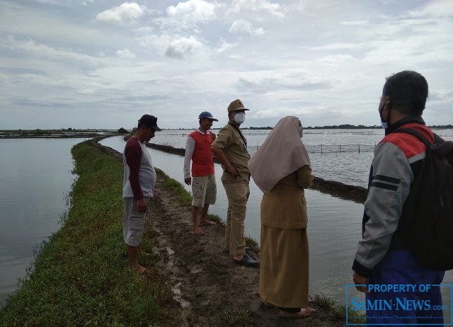 Ratusan Hektare Tambak Petani Terendam; Kerugian Capai Miliaran Rupiah