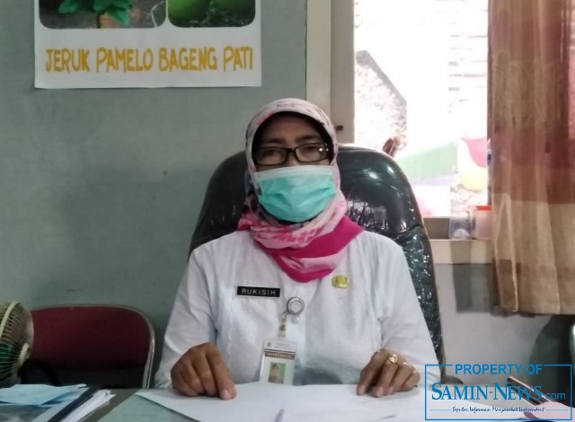 Jeruk Pamelo, Komoditas Unggulan dari Hasil Pertanian Hortikultura Pati