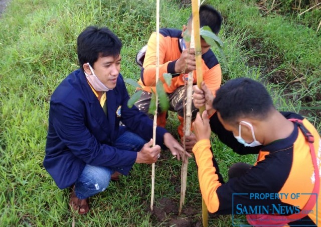 Mahasiswa STAIT Yogyakarta Tanam Pohon Mahoni  di Margorejo