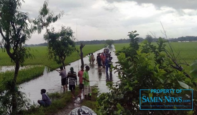 Sawah Terendam di Sugiharjo Jadi Wisata Memancing Dadakan