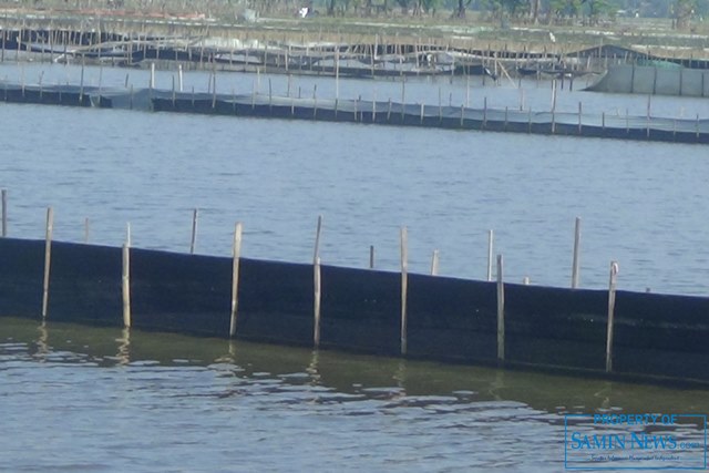 Petani di Lokasi Bekas Genangan Banjir;  Hadapi  MT II dengan Antisipasi Berlapis