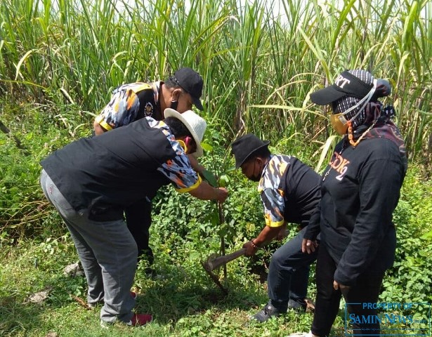 GMBI KSM Wedarijaksa; Ajak Terus Menanam dan Hentikan Penebangan