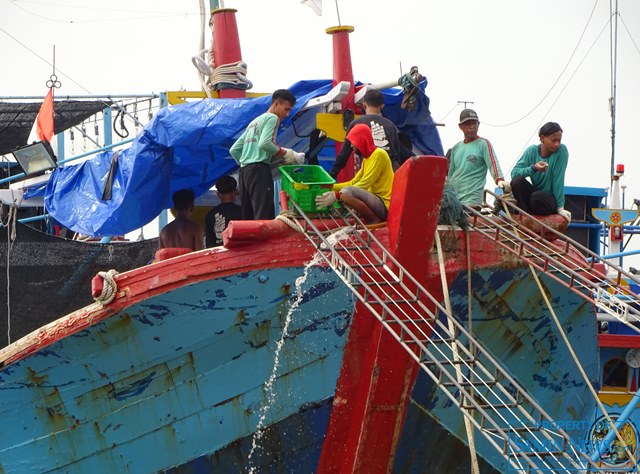 Harga Lelang Ikan di TPI Unit II Juwana Masih Tinggi