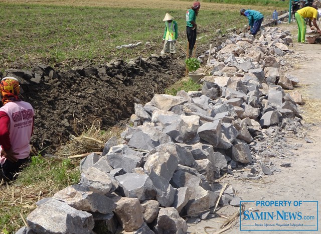 Warga Rejoagung Pertanyakan Sumber Dana Pembangunan Talud Jalan Desa