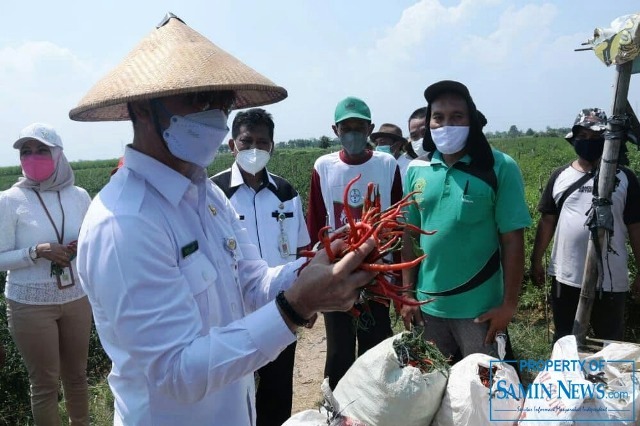 Hartopo Blusukan Dengarkan Keluhan Masyarakat Terdampak Pandemi