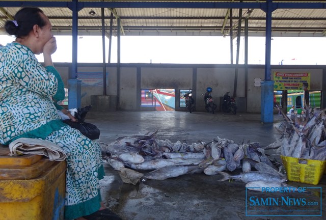 Ikan Pancingan Mulai Masuk  TPI Unit I Juwana, Bakul Tidak Pernah Mau Lelang