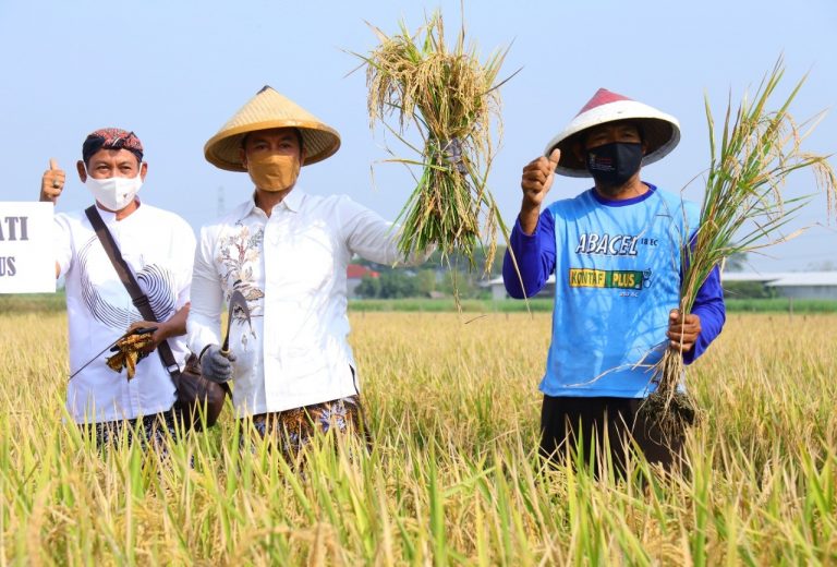 Bupati Apresiasi Pemanfaatan Lahan Tidur Menjadi Produktif