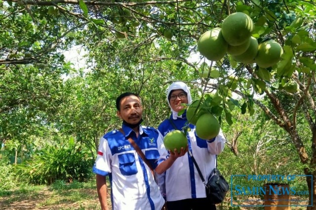 PMKM Prima Indonesia Blora Studi Banding ke Cabang Pati