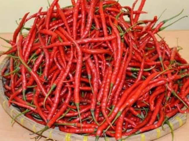 Harga Cabe Merah Keriting dari Petani Anjlok