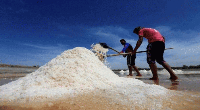 Pemerintah Indonesia tahun 2021 ini mengimpor pasokan bahan baku garam nasional sebesar 3,07 juta ton Foto: MNC Media