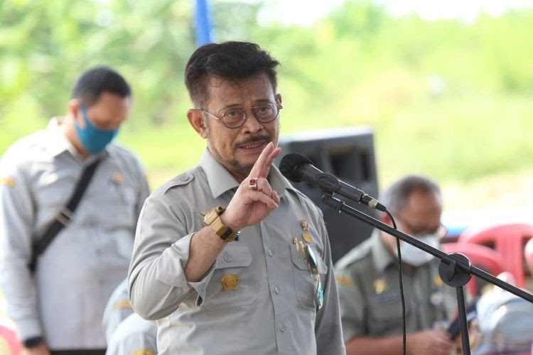 Strategi Kementan Tingkatkan Produktivitas Jagung