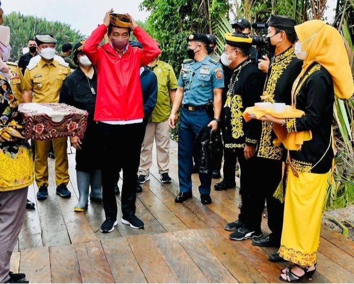 Jokowi Terbang ke Kalimantan Utara Tanam Mangrove Hingga Tinjau Vaksinasi