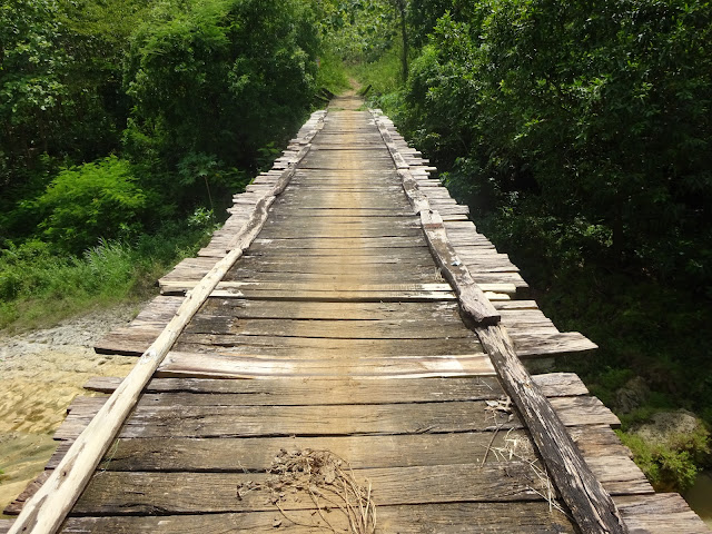 Jembatan di Tengah Kawasan Hutan yang Tak Pernah Tersentuh Perbaikan