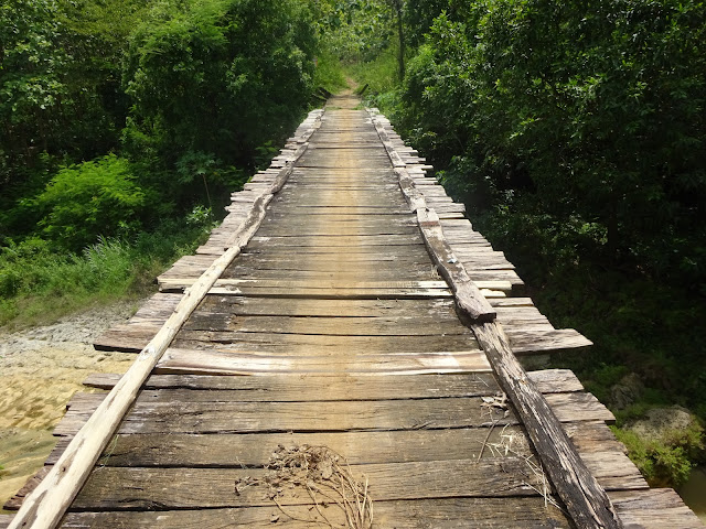 Jembatan di Tengah Kawasan Hutan yang Tak Pernah Tersentuh Perbaikan