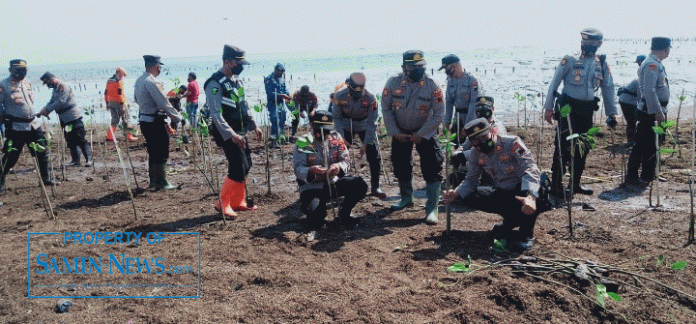 aksi penanaman 5000 mangrove di wilayah Pantai Bulumanis Kidul melibatkan jajaran Polres Pati, Kodim 0718/Pati, Pemerintah Desa Bulumanis Kidul, OPD terkait serta para relawan dan sejumlah komunitas peduli lingkungan